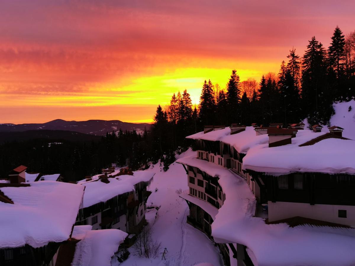 Viva 4-A-16 Ski To The Door Grand Monastery Pamporovo Bagian luar foto